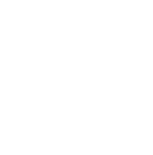 SpaceParrots Icon